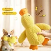 Washable Interactive Chew Resistant Puppy Teething Bone Toy