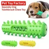 cn-11134207-820l4-mmhbmki23gg20b.webp Random Squeaky Dog Toothbrush Teething Stick Toy