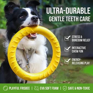 Durable EVA Dog Frisbee Training Pull Ring Toy