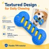 Random Chew Proof TPR Squeaky Dog Bone Dental Chew Stick Toy