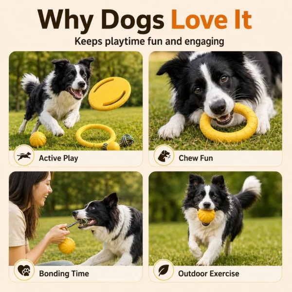 Durable EVA Dog Frisbee Training Pull Ring Toy