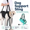 cn-11134207-820l4-mnjs2qkbh24k99.webp Random Adjustable Pet Assist Harness with Leash
