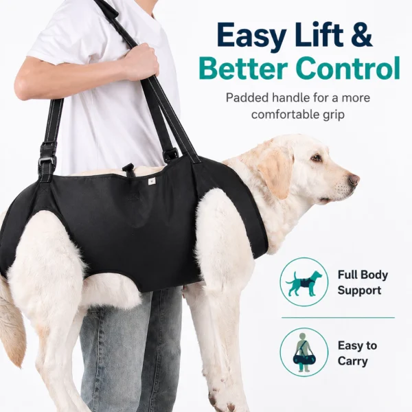 cn-11134207-820l4-mnjs2qllqznmf0.webp Random Adjustable Pet Assist Harness with Leash
