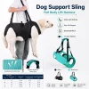 cn-11134207-820l4-mnjs2qnblds07d.webp Random Adjustable Pet Assist Harness with Leash
