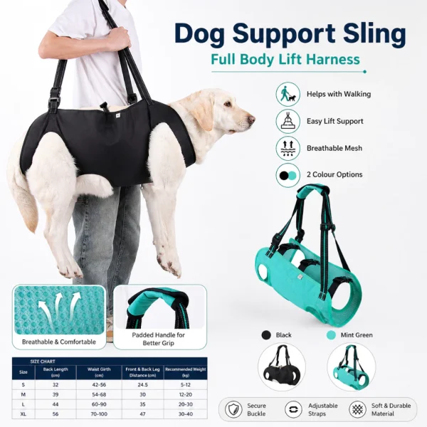 cn-11134207-820l4-mnjs2qnblds07d.webp Random Adjustable Pet Assist Harness with Leash