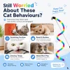 Random Rainbow Striped Cat Teaser Wand Toy with Bell