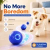 cn-11134207-820l4-mnxzs1nuslxg43.webp Random Smart Auto Rolling Electric Bite Resistant Dog Ball Toy