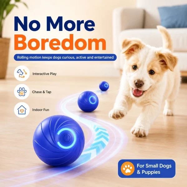 cn-11134207-820l4-mnxzs1nuslxg43.webp Random Smart Auto Rolling Electric Bite Resistant Dog Ball Toy