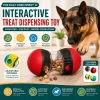 Random Rolling Treat Dispensing Slow Feeder Dog Training Ball Toy
