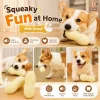 Bite Resistant Squeaky Dog Teething Toy Ball