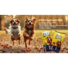 Sweet Tweet Idol Dry Dog Food 15kg
