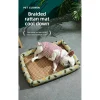 Random Portable Summer Ice Cooling Pet Mat