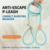 sg-11134201-81zu3-mmvhq251u9dsab.webp Random Thickened Explosion-Proof Integrated P-Rope Dog Leash