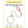 Random Integrated P-Rope Explosion-Proof Dog Leash